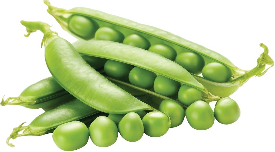 البازلاء الخضراء